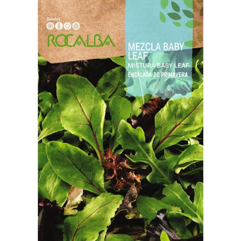 Rokalba-Mischung Baby Leaf-sur Spring 8g