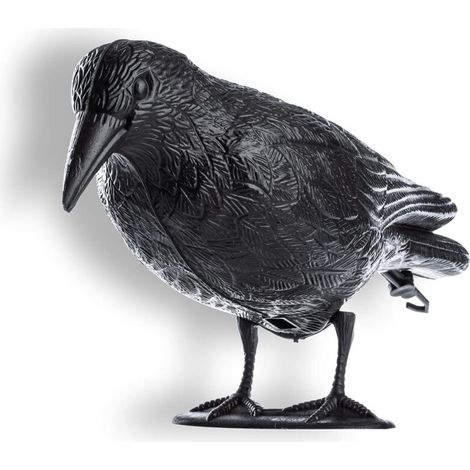 Épouvantail anti-oiseau en forme de corbeau 13x48x20cm, Corbeau Noir en Plastique-Epouvantail et effaroucheur (1/3)