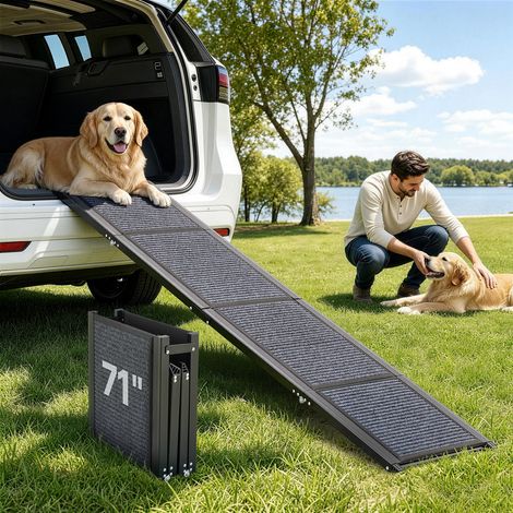 Rampe pour Chien 180 x 43,2 cm Rampe Accès Voiture Pliable pour Chiens Moyens et Grands 113 kg Surface Antidérapante en Feutre pour Animaux de Compagnie Extérieur, Compatible avec SUV Camions (1/5)
