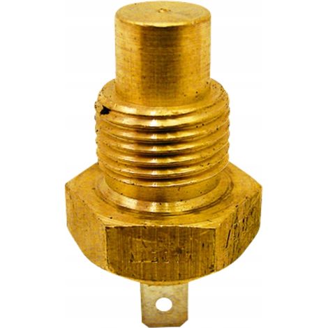 Sensore di temperatura Ford 60712005 GRANIT 89712608 83917490 D8NN10884AA