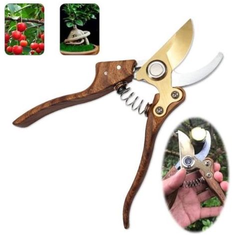 Gartenschere – MARKE – Blumenschere – SK5-Legierungsstahl – Ergonomischer Griff – Sicherheitsverriegelung (1/5)