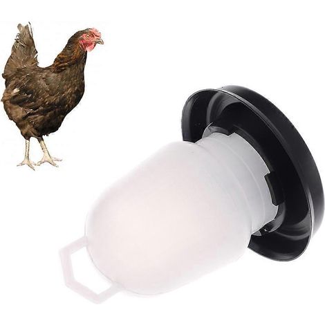 Abreuvoir et mangeoire pour poussins, pour poules et oiseaux de compagnie (1/4)