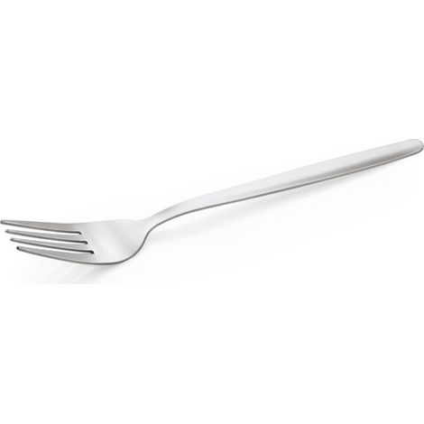 Fourchette de table 18,8 cm NP 80 ECO lot de 12 - Was Germany (1/2)