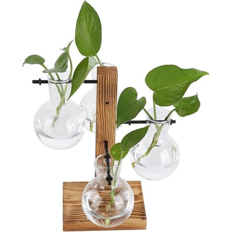 Jeffergarden Vase hydroponique innovant avec support en bois, fleur de bureau transparente pour la maison (1/5)