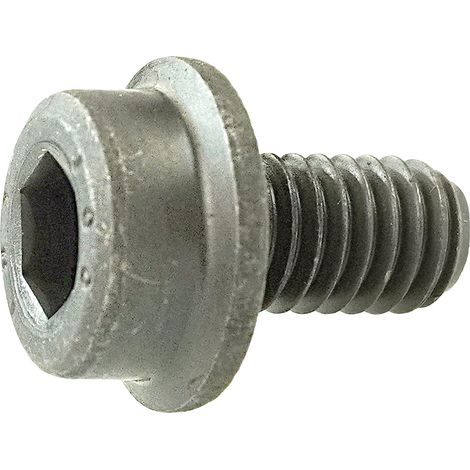 Reidl Zylinderschraube mit Innensechskant und Flansch 12x30mm verzinkt (1/4)