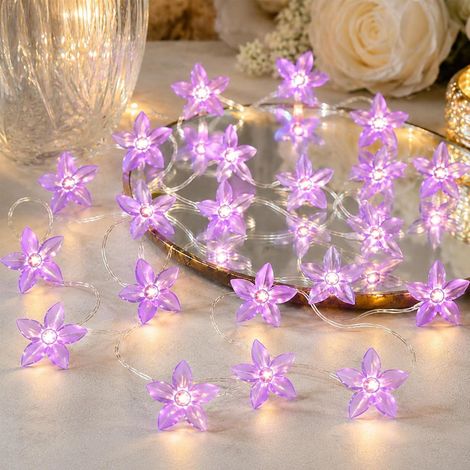 Guirlande lumineuse 2 × lys 2 m 20 LED à piles couleur lilas, décoration estivale pour jardin extérieur (1/5)