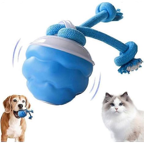 Nouvelle balle interactive pour animaux de compagnie 2026, balle intelligente interactive pour chats et chiens, balle électrique à rouler, jouet interactif rechargeable pour chats qui s'ennuient