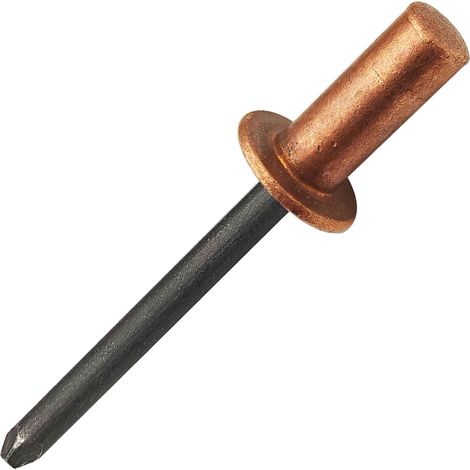 Kit de 60 Rivets Aveugles Pop Étanches à Bout Fermé - 3 Tailles : Ø4,8x10/12/16mm (20 Par Taille) - Tête Bombée en Cuivre, Mandrin en Acier (1/5)