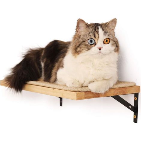 Étagère murale flottante avec tapis à griffer pour chat, 2,8 cm d'épaisseur, étagères suspendues en bois d'hévéa massif, 39,5 x 25,5 cm (1/5)