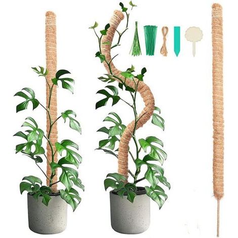 pieces 90CM foldable foam stick with 2 pieces of 2M long hemp rope, coconut stick for plants, climbing aids for climbing plants, garden plant support (1/5)