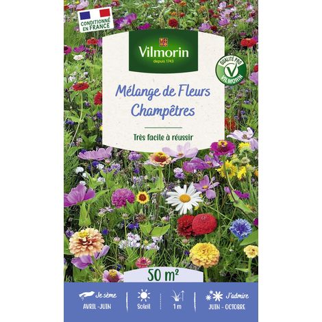Fleurs Champêtres - 50 m² - Mélange de fleurs Vilmorin (1/3)
