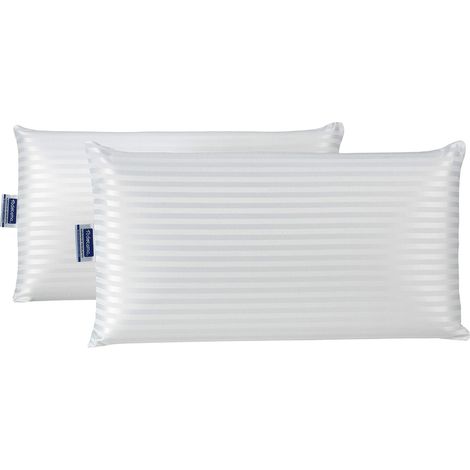 Oreiller à mémoire de forme, anti-acariens et antibactérien, tissu doux, frais et respirant, noyau thermorégulable, double housse avec fermeture éclair lavable (lot de 2 x 70 cm). (1/5)