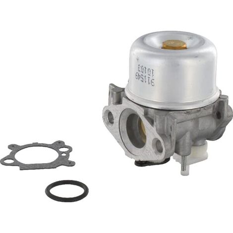 799869 - Carburateur pour moteur BRIGGS et STRATTON (1/4)