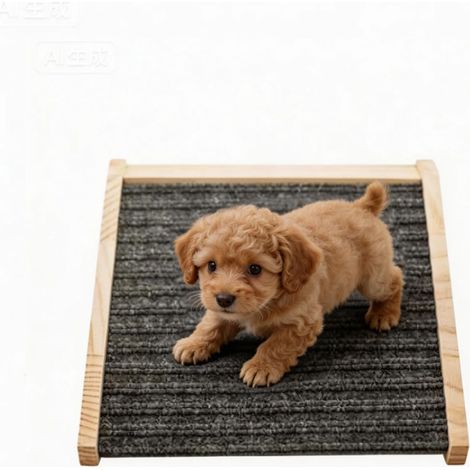 Rampe pour Chien en Bois pour Escaliers, Marches pour Animaux à Faible Inclinaison avec Surface Antidérapante, Aide pour Petits Chiens et Chats, Rampe à 30 degrés (1/5)