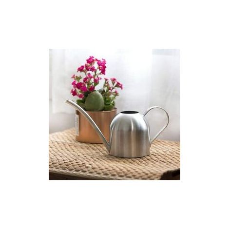 Arrosoir en Acier Inoxydable 1000ml Arrosoir Fleur Arrosoir Métal pour Plantes d'intérieur Jardin Arrosoir Fleur Arrosoir Argent