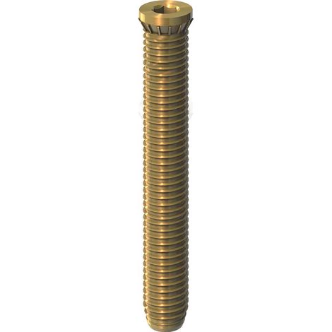 DR. HAHN Anker-Schraube M12x74 mm, einzeln (1/2)