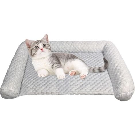 Lit Rafraîchissant pour Chien - Tapis Canin pour Jours Chauds - Portable (1/5)