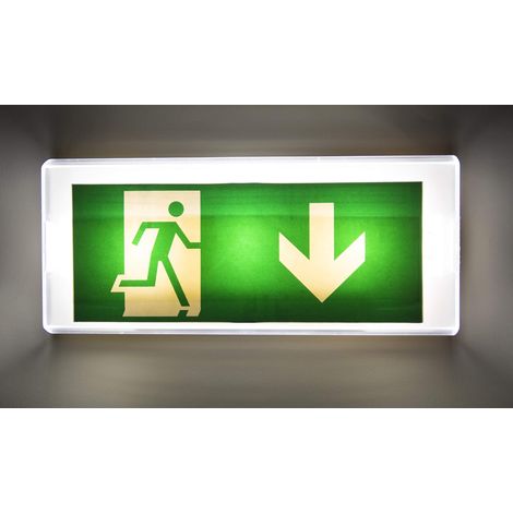 Voyants, panneaux et balises d'alerte incendiePanneau d’issue de secours lumineux (1/5)