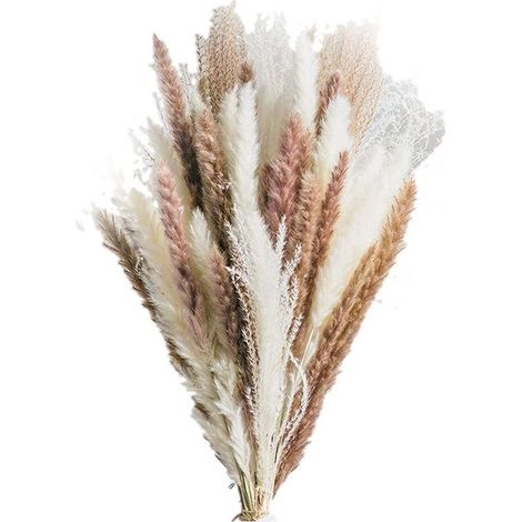 Décoration en herbe de la pampa séchée (50 pièces) pour la maison, les mariages, les fêtes et autres occasions. Fleurs artificielles décoratives.-AquaForge (1/5)