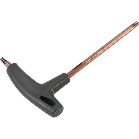 Clé T25 pour Disque de Frein Vélo - Outil de Réparation Haute Résistance (1/5)