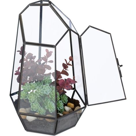 Terrario geométrico de vidrio para suculentas y plantas de aire (1/5)