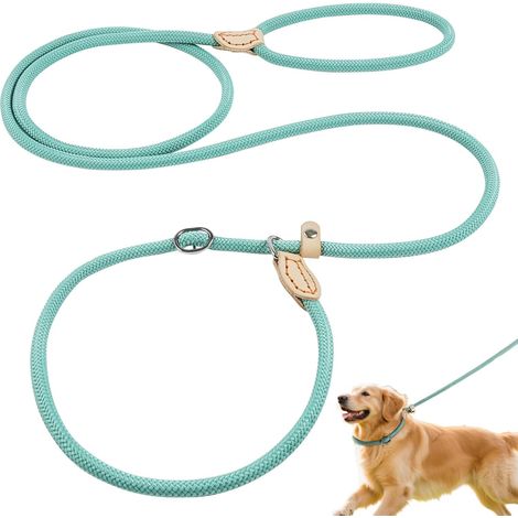 Correa de entrenamiento para perros, 1,8 m, resistente, de nailon, multifuncional, ajustable, con 2 mosquetones para perros pequeños y grandes, para paseos y entrenamiento, color cian. (1/5)