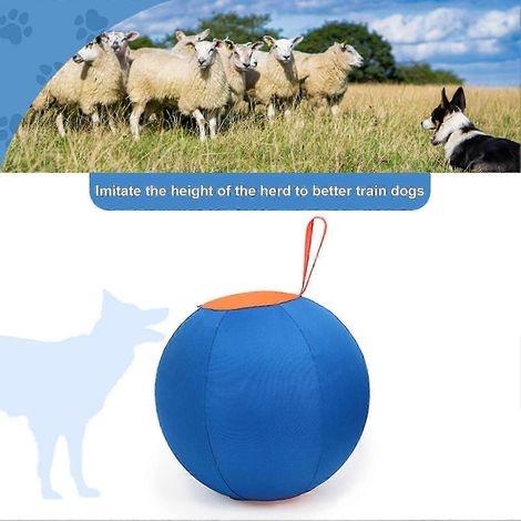 Balle pour chien de berger, jouet pour cheval, balle épaisse anti-éclatement, résistante aux griffures, balle d'entraînement stimulant les sens, jouet de confiance pour chevaux et chiens de berger (1/4)