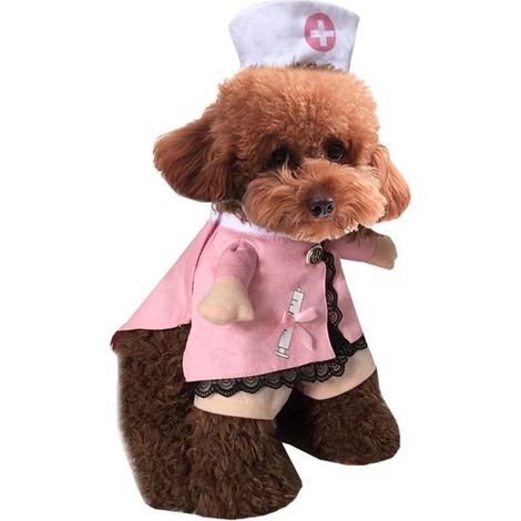 Déguisement d'Halloween pour chien ou chat, costume d'infirmière, jeans pour chien, vêtements amusants pour chat, uniforme (1/5)
