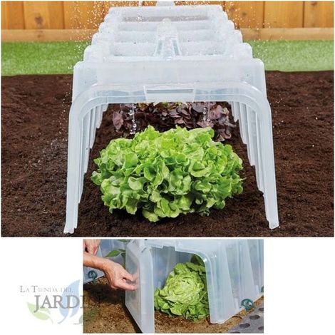Túnel de cultivo transparente 104x40x30 cm UV, túnel agrícola, protección UV, cultivo exterior