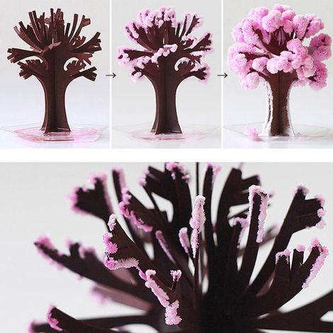 Sapin de Noël en papier magique qui grandit, jouet cadeau de Noël ou de Nouvel An pour enfant (1/5)