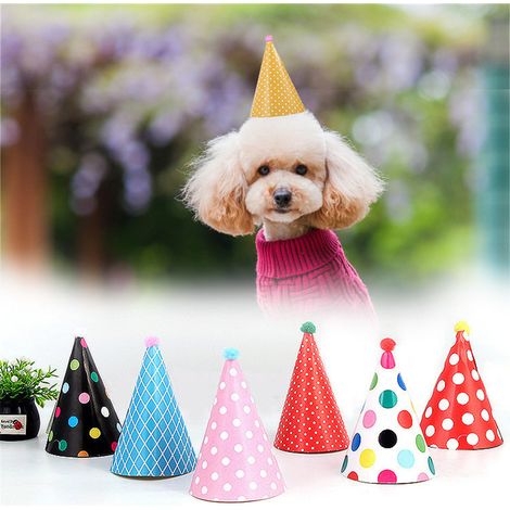 Adorable ensemble chapeau et bavoir décoratifs pour anniversaire de chien, accessoires de fête pour animaux de compagnie (1/5)