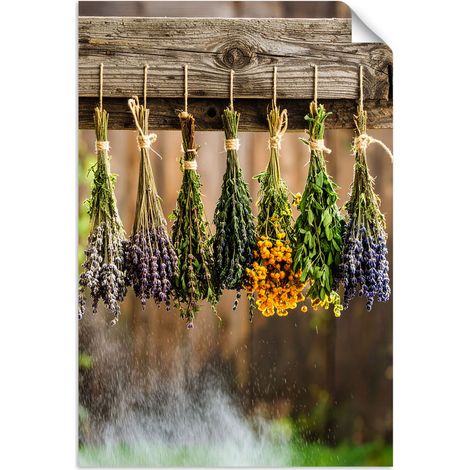 Selbstklebendes Poster – Wandsticker Kräuter Gewürze Pflanzen 20x30 cm