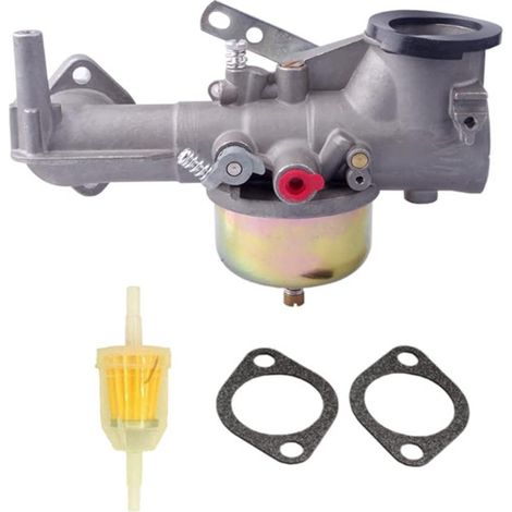 BIEMMEDUE- Vergaser 491590, kompatibel mit Briggs & Stratton 191700 Teilenummern 390811 und 392152 (1/3)