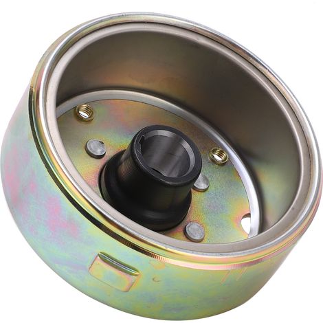 8-poliges Magneto-Stator-Schwungrad als Ersatzteil für GY6 125cc 150cc Roller (1/5)