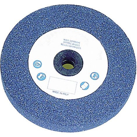 MOLA ABRASIVA ø 100 x 13 F. 13 gr.60