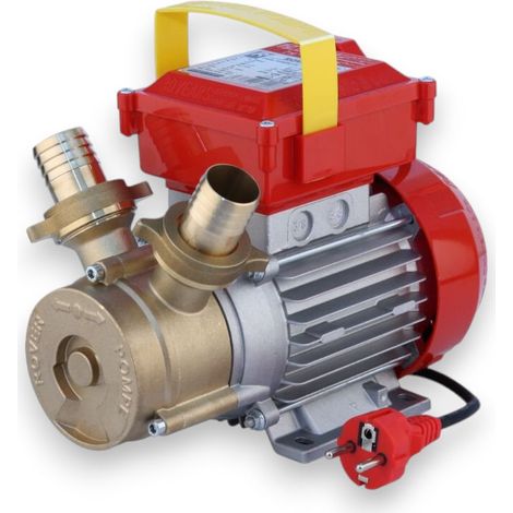 Elettropompa per travaso alimenti 75 lt Rover 30 ce (1/5)