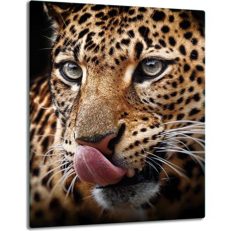 TABLERO DE MESA DE PANEL DE PLACA DE CRISTAL 40x52 TIGER (1/5)