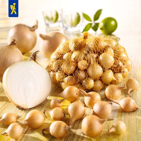 Kiepenkerl Pflanzgut Gelbe Wintersteckzwiebel Senshyu Yellow 250 Gramm