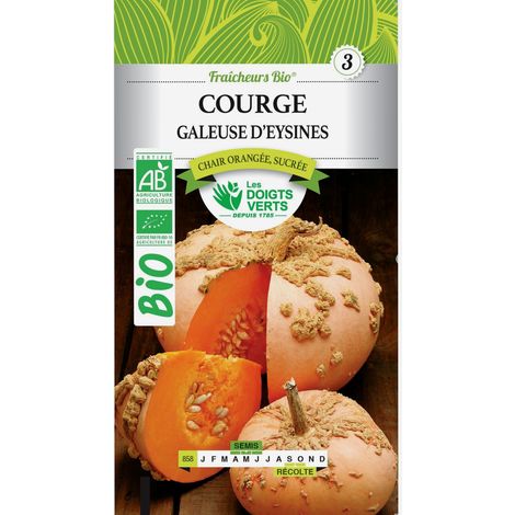 Graines Courge Galeuse d'Eysines BIO Les Doigts Verts
