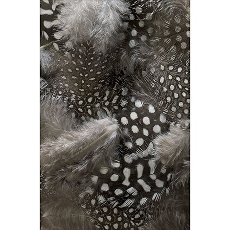Sticker réfrigérateur et lave vaisselle, duvet confort maison déco, 75 cm X 49 cm (1/4)