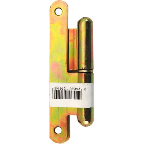 Paumelle Cime Droite 110x55 Charnière Robuste En Acier Pour Porte Droite. - Cime