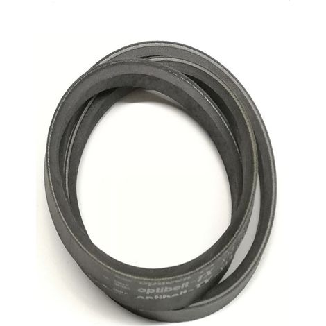 Cinghia riduttore Ecotech TRT 110 Swing / TRT 135 / TRT 135 Swing - 13230