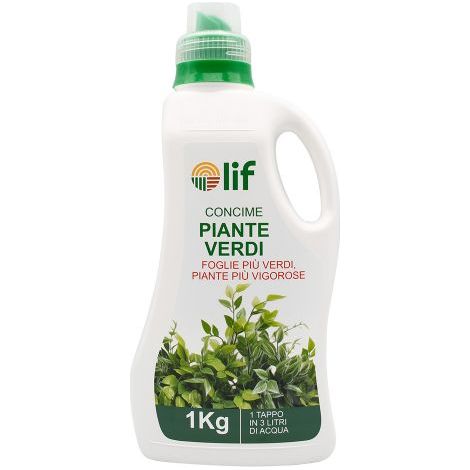 CONCIME LIQUIDO 'PIANTE VERDI' Kg.1