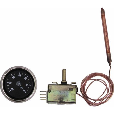 Termostato regolazione acqua a bulbo AB100.4 1M 0/90°