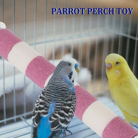 Parrot Standing Perch Toy, Natural Wood Support Stand for Adventurous Small Parrots Exploration (1/4)