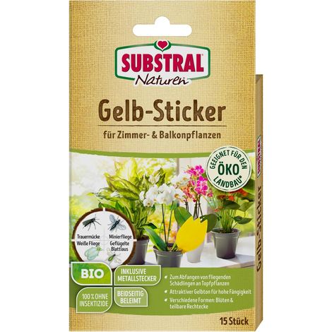 Naturen Bio Gelbstecker - 15 Stück (1/5)