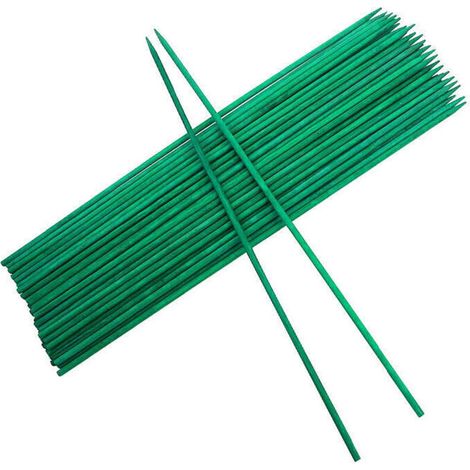 Tuteur pour plantes grimpantes en bois vert avec liens métalliques Support pour plantes (50 pièce)