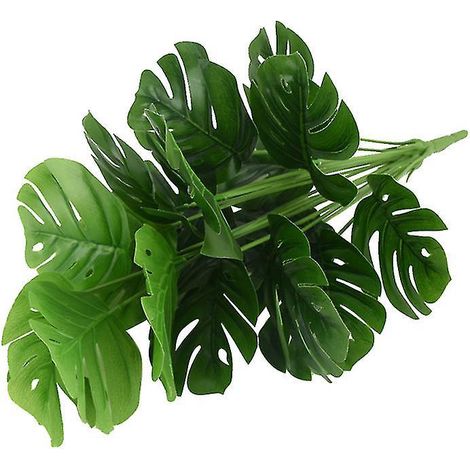 1 tige de Monstera à 18 branches (1/3)