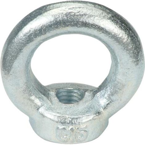 Reidl DIN 582 Ringmuttern M 24, Stahl verzinkt (1/2)