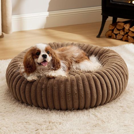 Lit rond pour chat et chien en tissu doux couleur café de 50 cm de diamètre, lit extra large pour chat et chien, lit chaud pour l'hiver (1/5)